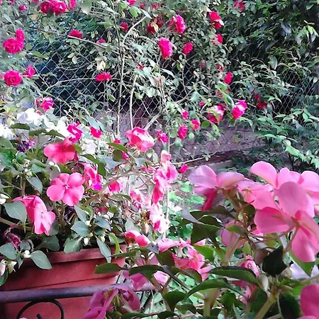 La Villetta Bed & Breakfast Milano
