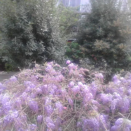 La Villetta 3* Milano